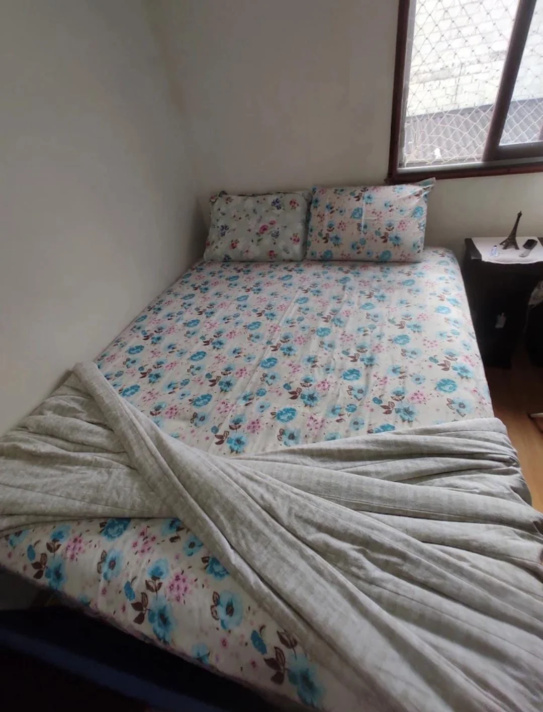 limpeza de casa com muito lixo