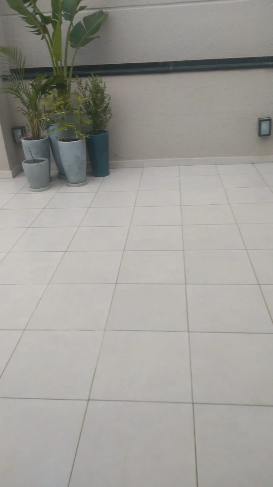 limpeza predial